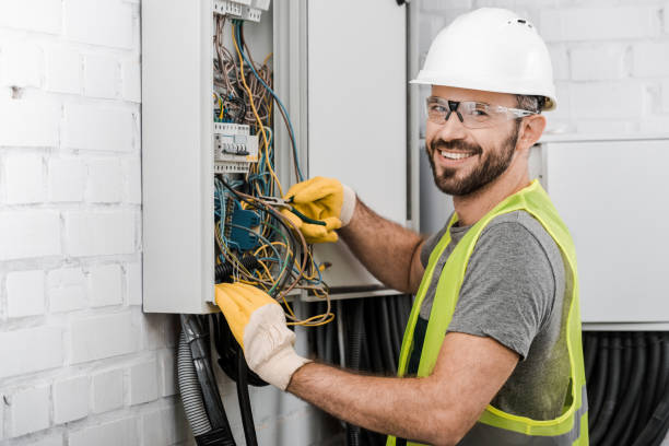 Best Electrical Upgrades for Homes  in Tecumseh, MI