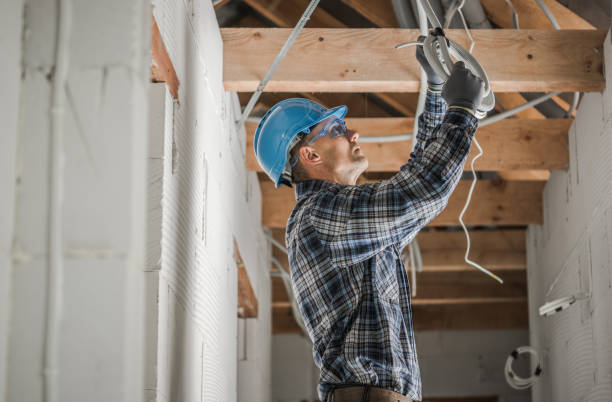 Best Generator Installation Services  in Tecumseh, MI