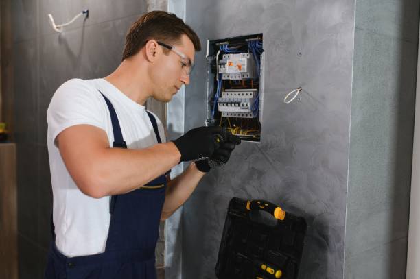 Best Local Electrician Companies  in Tecumseh, MI